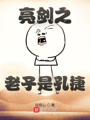 亮劍之老子是孔捷免費完整版版本