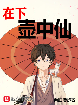 小說在下壺中仙全集