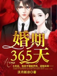 慕淺霍靳西全文免費閱讀