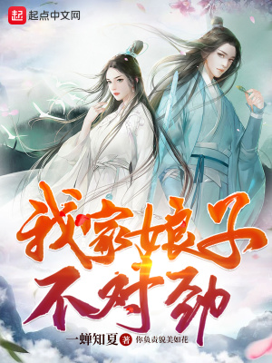 我家娘子不對勁起點